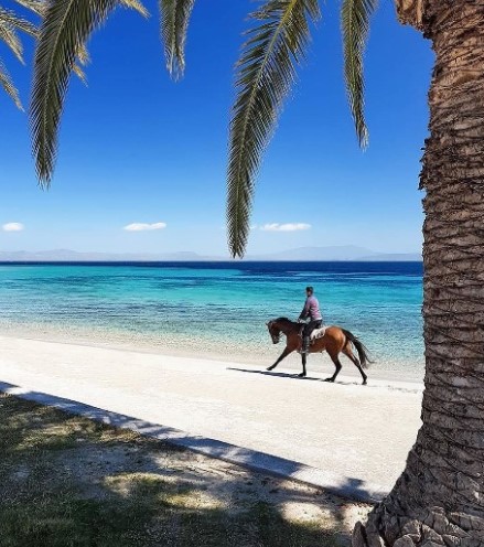 이탈리아 최고 휴양지인 사르디나 해변 모습 (출처=nature/인스타그램)