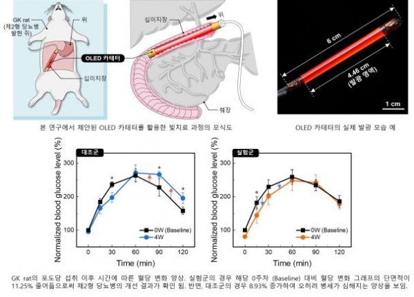 (사진=한국과학기술원(KAIST) 제공)