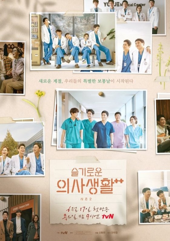 슬기로운 의사생활 시즌2 (사진출처=tvN)