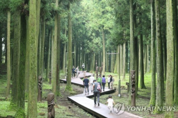 무더운 날씨를 보인 19일 제주시 절물자연휴양림에서 탐방객들이 숲길 산책을 하고 있다. (사진=연합뉴스)